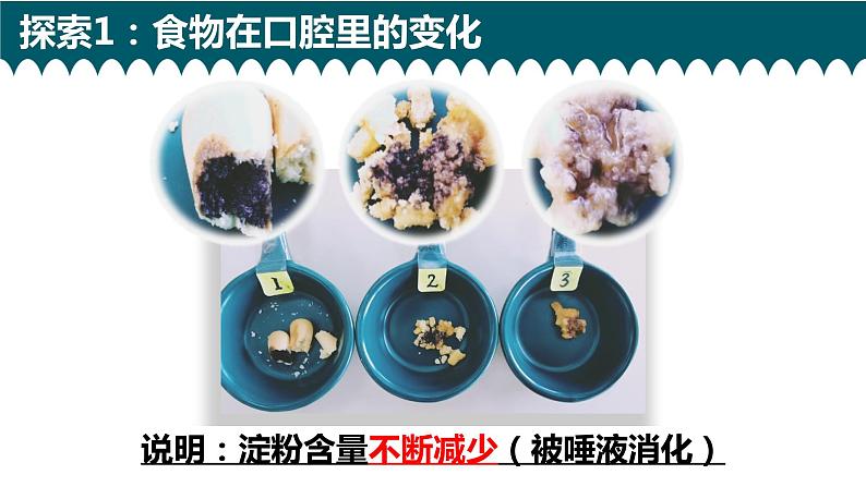 教科版科学 1、食物在口腔里的变化课件PPT05