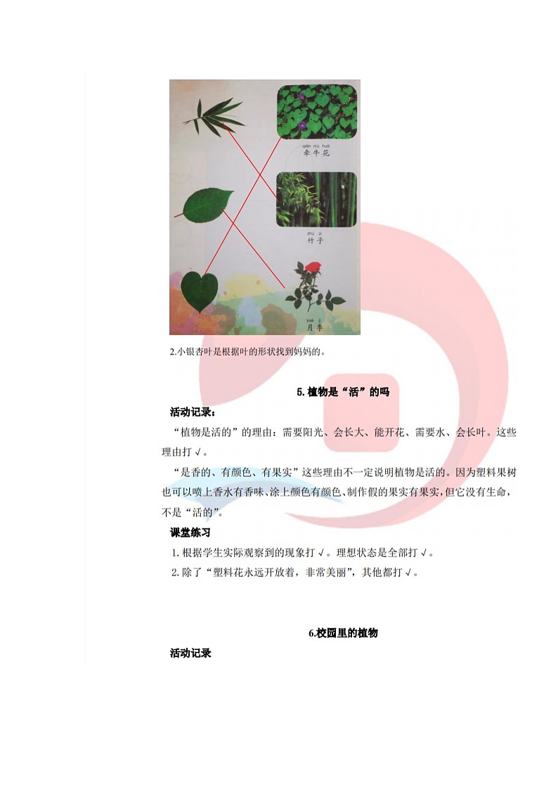 教科版（新版）小学科学一年级上册作业本参考答案（新教材） 试卷练习03