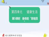教科版科学 第四单元 第5课时  身体的联络员课件PPT