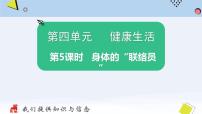 小学科学教科版 (2017)五年级上册5.身体的 “联络员”背景图ppt课件