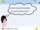 教科版科学 第四单元 第5课时  身体的联络员课件PPT