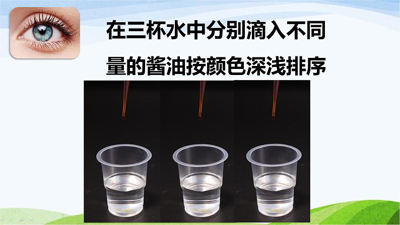 小学科学教科版二年级下册2.2.3 观察和比较课件06