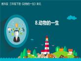 教科版科学 2-8《动物的一生》教学课件