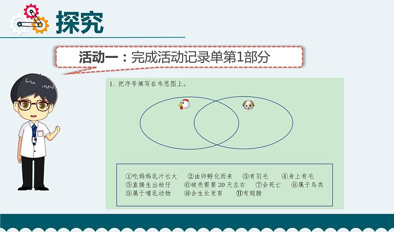 教科版科学 2-8《动物的一生》教学课件05