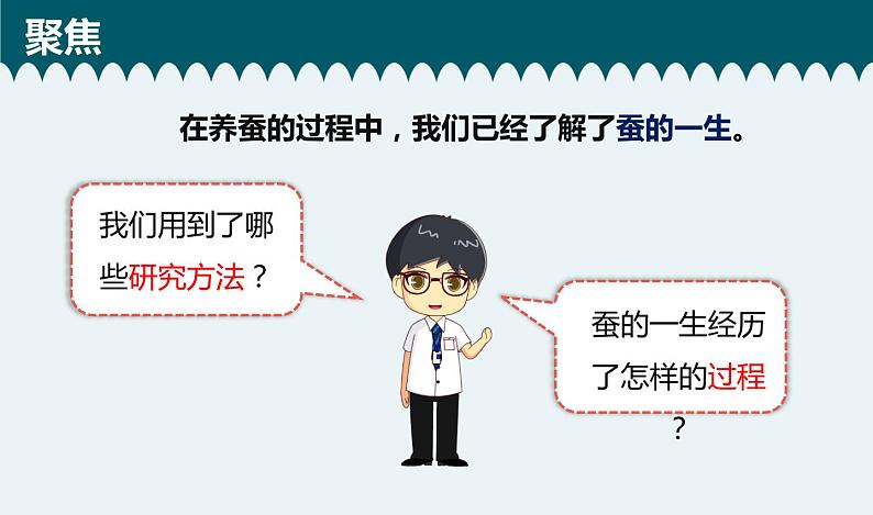 教科版科学 2-6《蚕的一生》教学课件02