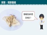 教科版科学 2-5《茧中钻出了蚕蛾》教学课件