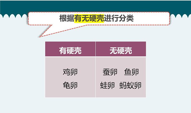 教科版科学 2-2《认识其他动物的卵》教学课件04