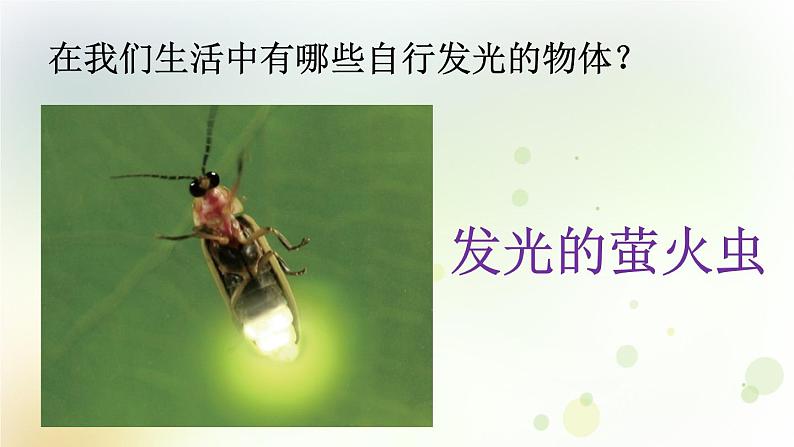 第1课《为什么能看到物体》教学课件+教材分析 粤教版小六科学上册08