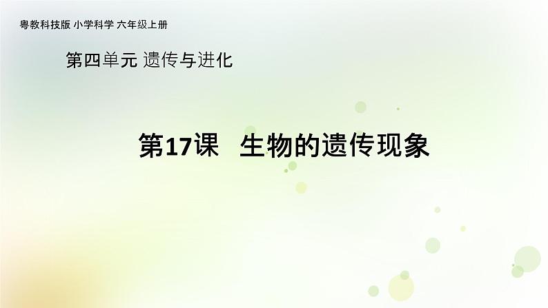 第17课《生物的遗传现象》教学课件+教材分析 粤教版小六科学上册01