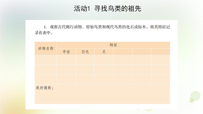 第20课《生物进化的证据》教学课件+教材分析 粤教版小六科学上册07
