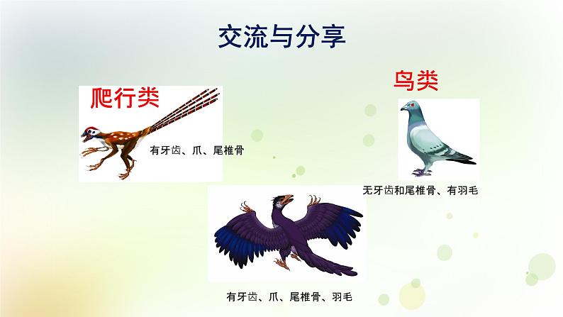 第20课《生物进化的证据》教学课件+教材分析 粤教版小六科学上册08