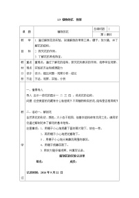 粤教粤科版四年级上册（新版）5 植物的花表格教学设计