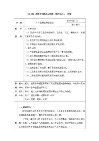 小学科学粤教粤科版四年级上册（新版）9 各种各样的岩石表格教学设计