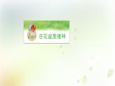 第1課《種番茄》教學(xué)課件+教材分析 粵教版小四科學(xué)上冊(cè)
