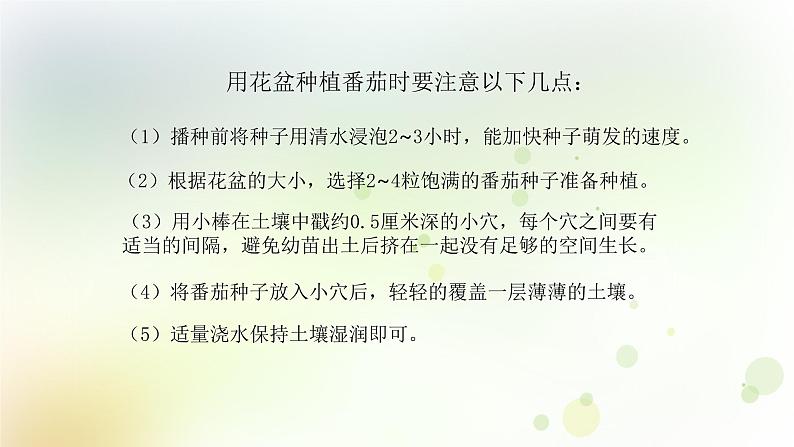 第1课《种番茄》教学课件+教材分析 粤教版小四科学上册07