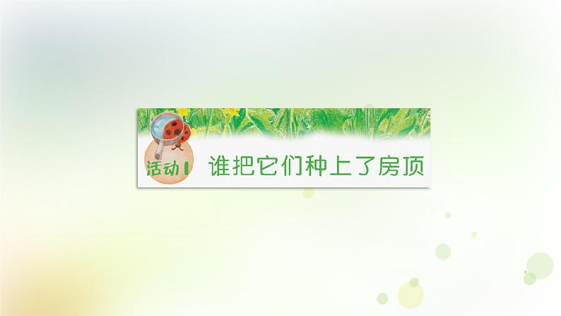 第3课《种子的传播》教学课件+教材分析 粤教版小四科学上册03