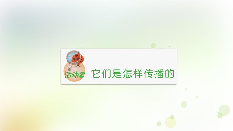 第3课《种子的传播》教学课件+教材分析 粤教版小四科学上册08