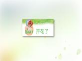 第2课《开花和结果》教学课件+教材分析 粤教版小四科学上册