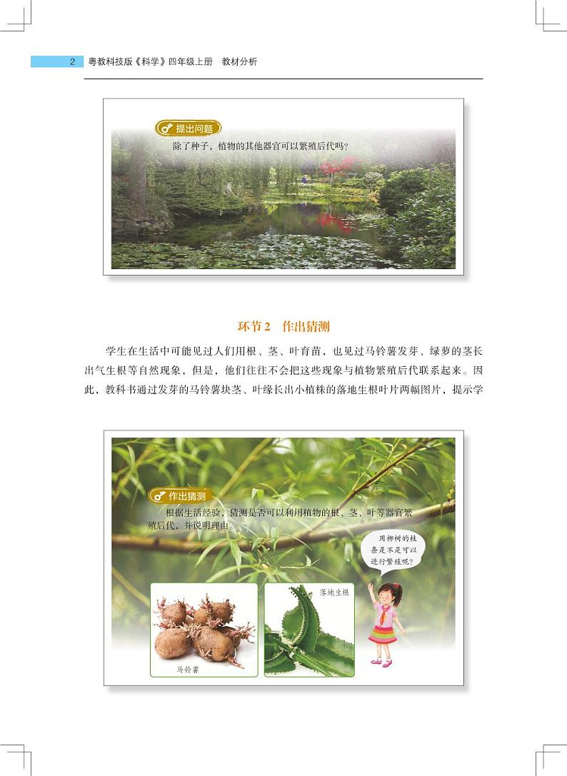 第4课《专题探究：可以不用种子繁殖吗》教学课件+教材分析 粤教版小四科学上册02