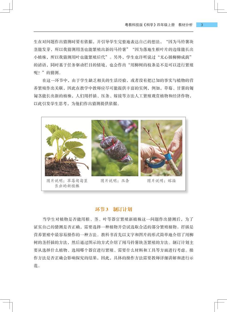 第4课《专题探究：可以不用种子繁殖吗》教学课件+教材分析 粤教版小四科学上册03