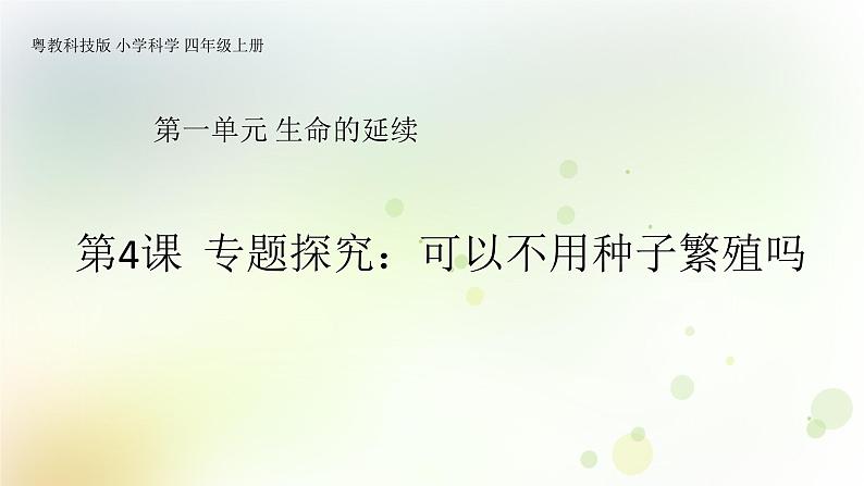 第4课《专题探究：可以不用种子繁殖吗》教学课件+教材分析 粤教版小四科学上册01