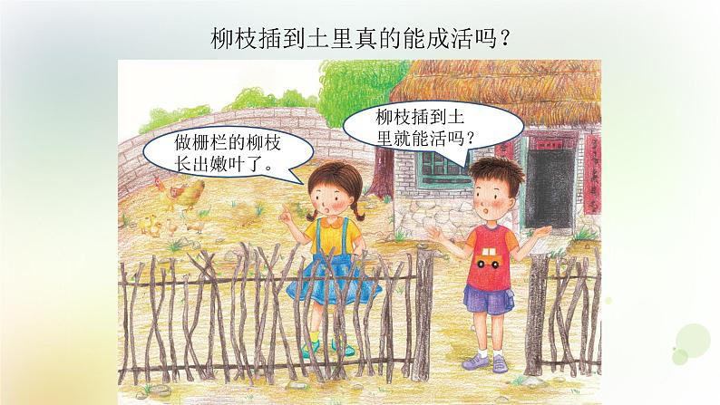 第4课《专题探究：可以不用种子繁殖吗》教学课件+教材分析 粤教版小四科学上册02