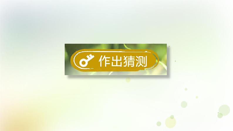 第4课《专题探究：可以不用种子繁殖吗》教学课件+教材分析 粤教版小四科学上册07