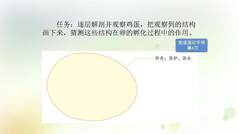 四年级上册第6课《母鸡生蛋了》教学课件第7页