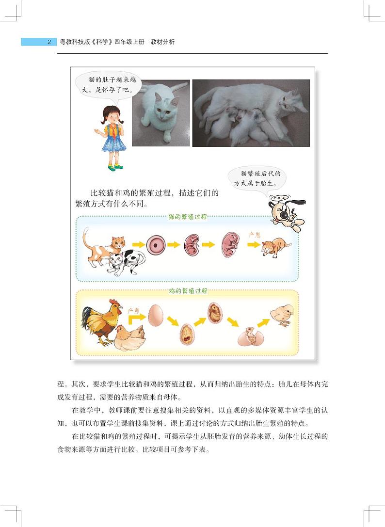 四年级上册第7课《胎生动物》教材分析第2页