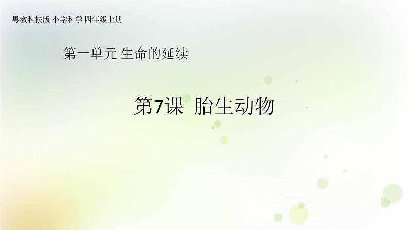 四年级上册第7课《胎生动物》教学课件第1页