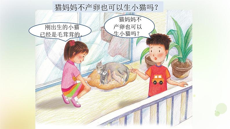 四年级上册第7课《胎生动物》教学课件第2页