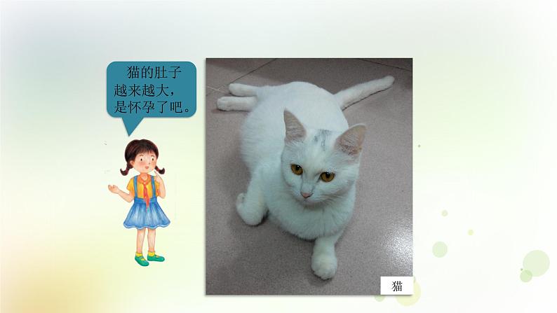 四年级上册第7课《胎生动物》教学课件第4页