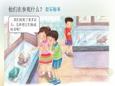 第9課《制作巖石標(biāo)本盒》教學(xué)課件+教材分析 粵教版小四科學(xué)上冊