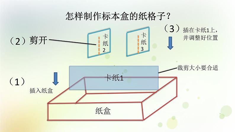 四年级上册第9课《制作岩石标本盒》教学课件第7页
