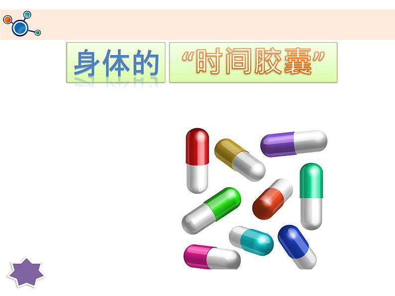 教科版科学 2-6.身体的“时间胶囊”-教学课件第2页