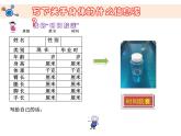 教科版科学 2-6.身体的“时间胶囊”-教学课件