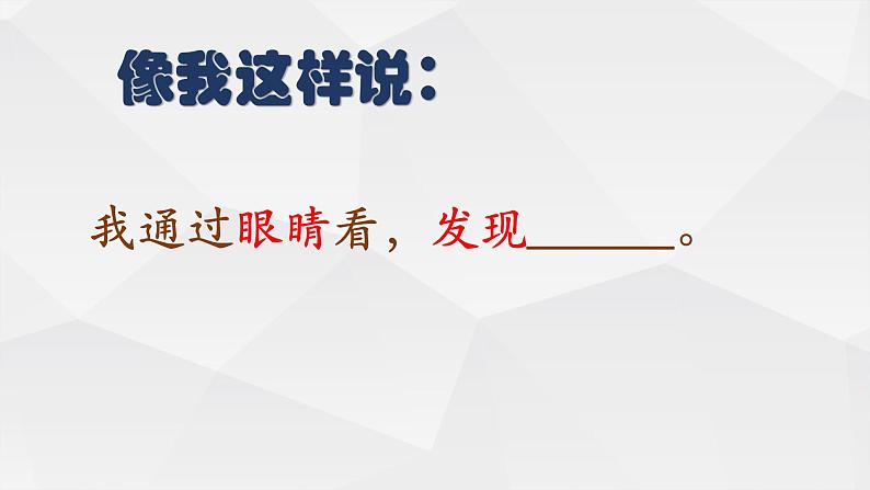 教科版科学 2-3.观察与比较-教学课件03