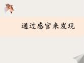 教科版科学 2-2.通过感官来发现-教学课件