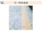教科版科学 2-2.通过感官来发现-教学课件