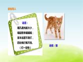 粤教版三年级上册科学1.3《壁虎与小猫》课件PPT