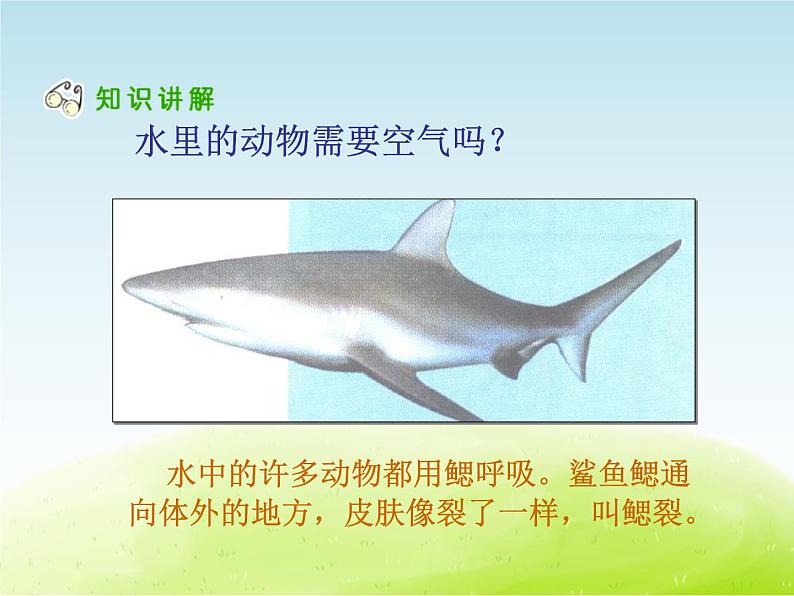 粤教版三年级上册科学《7 离不开的空气》课件第5页