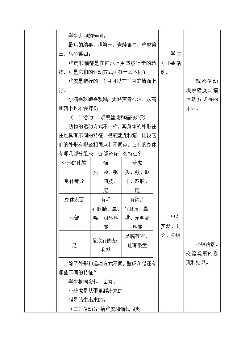 粤教版三年级上册科学3壁虎与小猫教案第2页