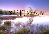 小学科学粤教粤科版 (2017)一年级上册3.我们来观察课文内容课件ppt