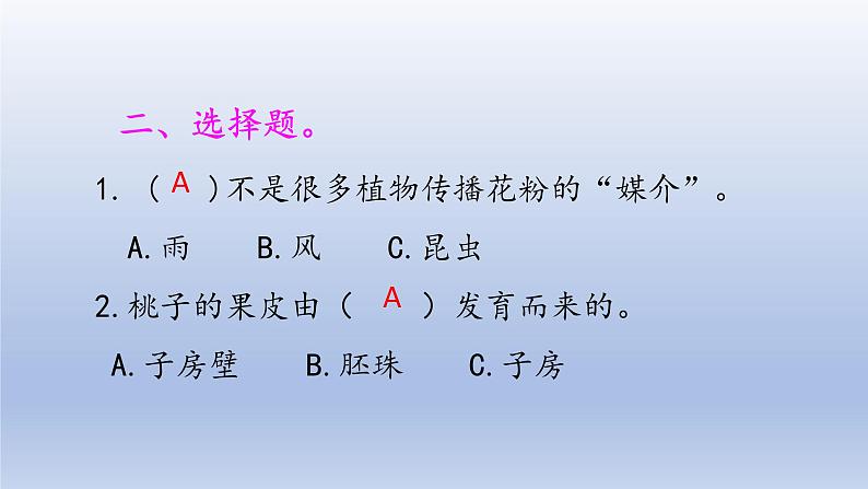 小学科学大象版三年级下册第三单元第4课《开放的花朵》作业课件（2022）03