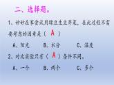 小学科学大象版四年级下册第一单元第1课《我们的豆苗》作业课件（2021新版）