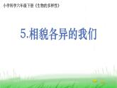 6.2.5《相貌各异的我们》课件 教科版小学科学六下