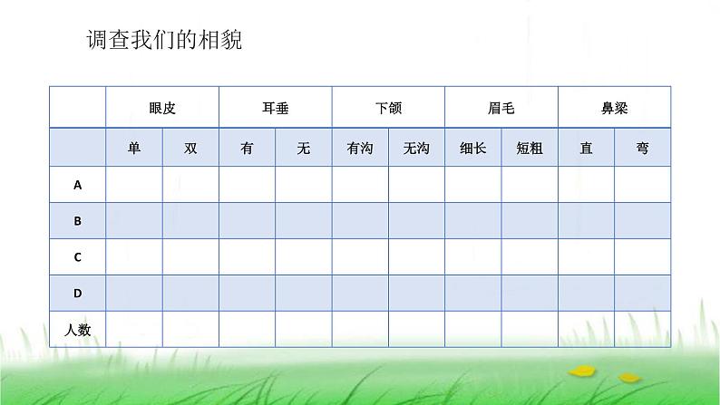 6.2.5《相貌各异的我们》课件 教科版小学科学六下05