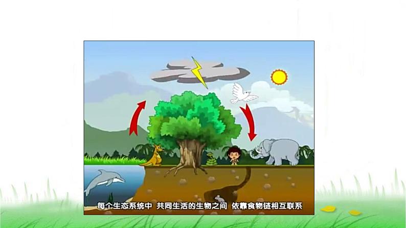 6.2.7《保护生物多样性》课件 教科版小学科学六下05