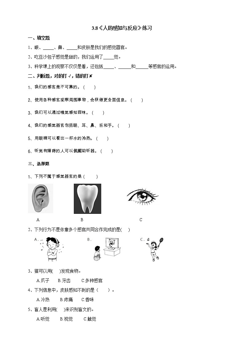 3.8《人的感知与反应》课件（课件+教案+习题）01