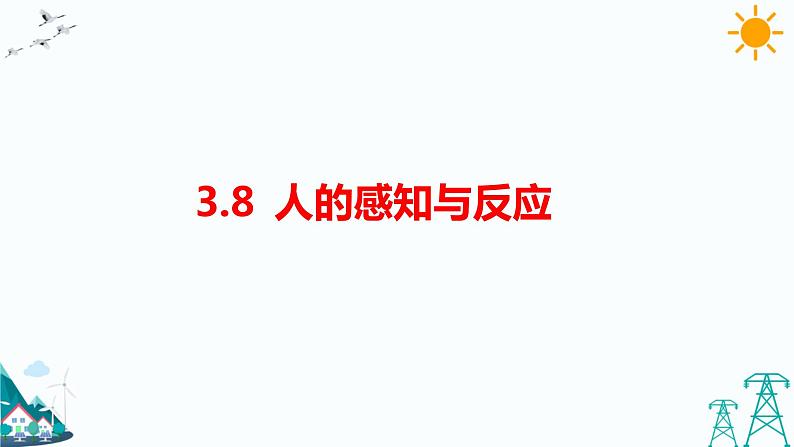 3.8《人的感知与反应》课件（课件+教案+习题）01